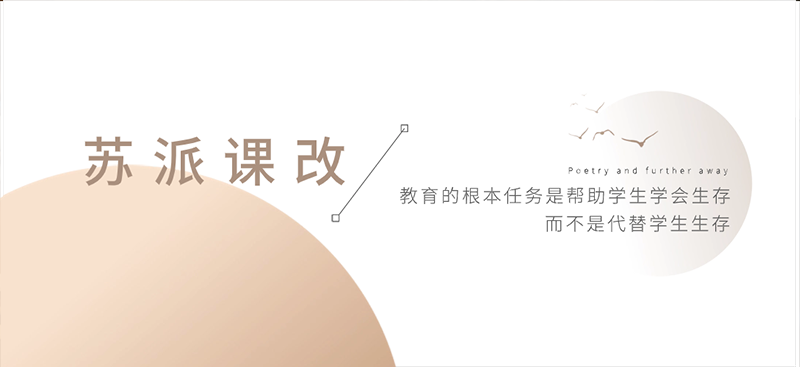 苏派课改