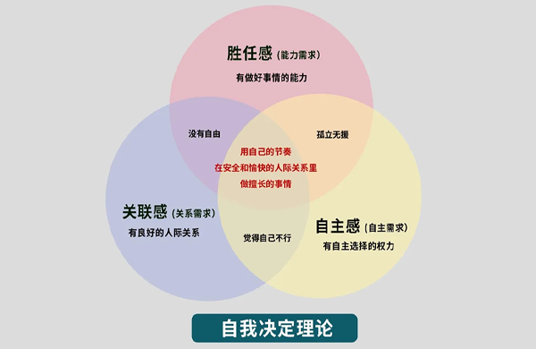 让专注自然发生：“费曼学习法•主动学习课堂”激活孩子内在动力