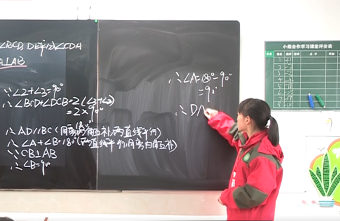 学生当老师系列·数学领学示范录像2