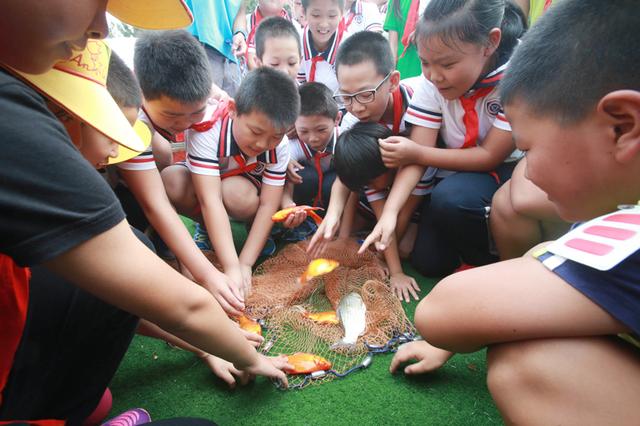 课改如何提高学生的综合素养？小组合作学习实操问题研讨